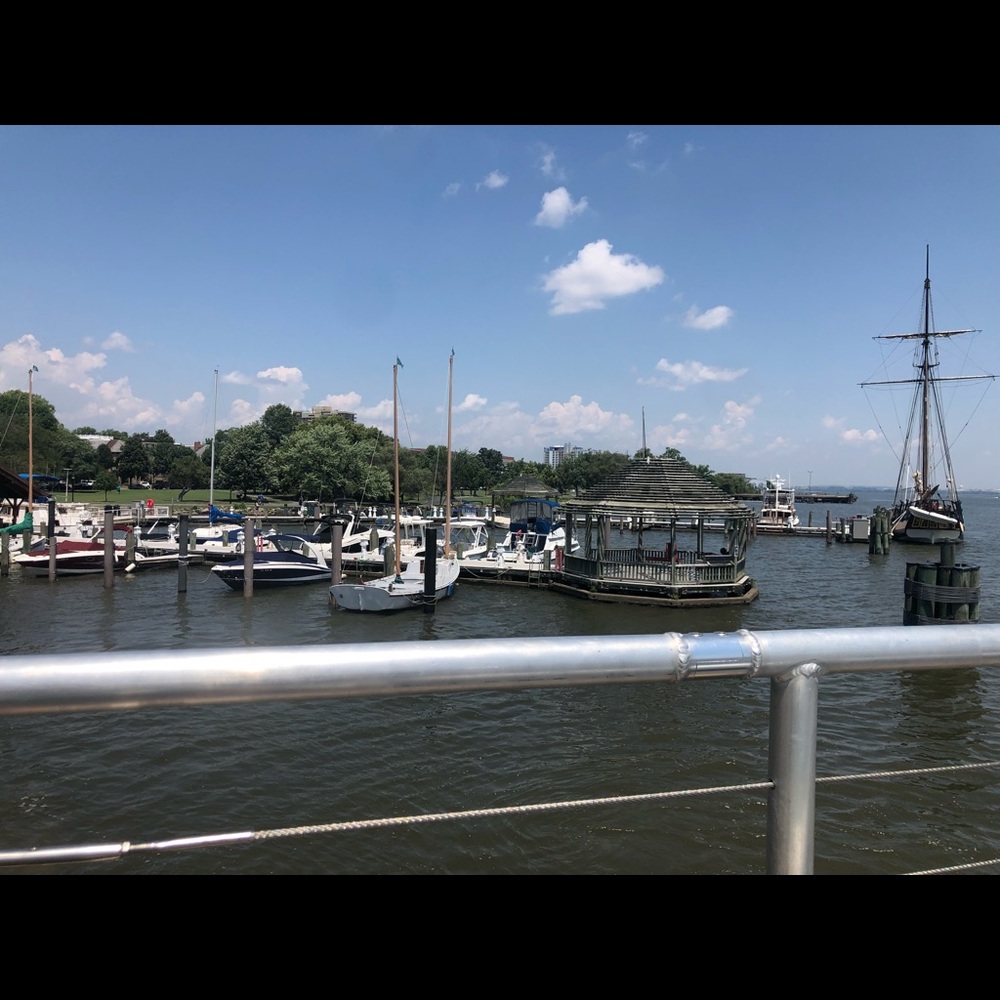 Meet your Posher, Yvonne